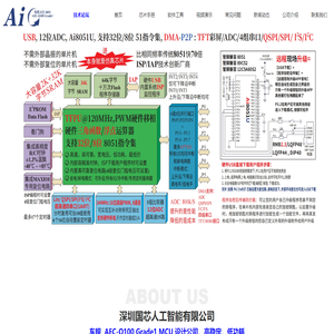 深圳国芯人工智能有限公司