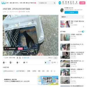 训练盘飞教程，这样训练出来的鸟想不盘都难_哔哩哔哩_bilibili