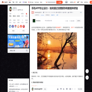 手机APP停止运行：如何通过清理缓存和数据来修复_手机软件有冲突卸载了还开不开机怎么办-CSDN博客